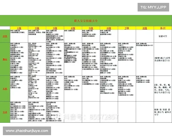 魔兽世界怀旧服：猎人装备技能攻略